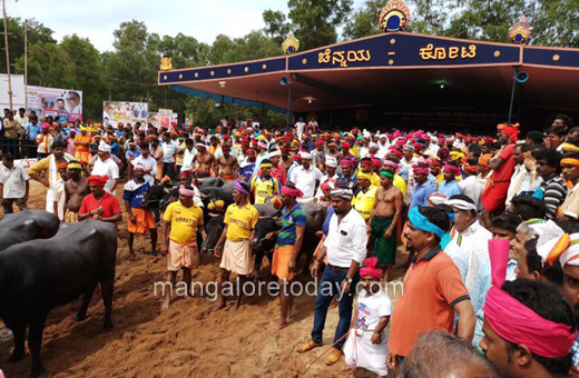 kot chennai jodu kere kambla